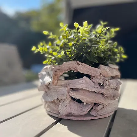 Strandvilla Niklot 01 *