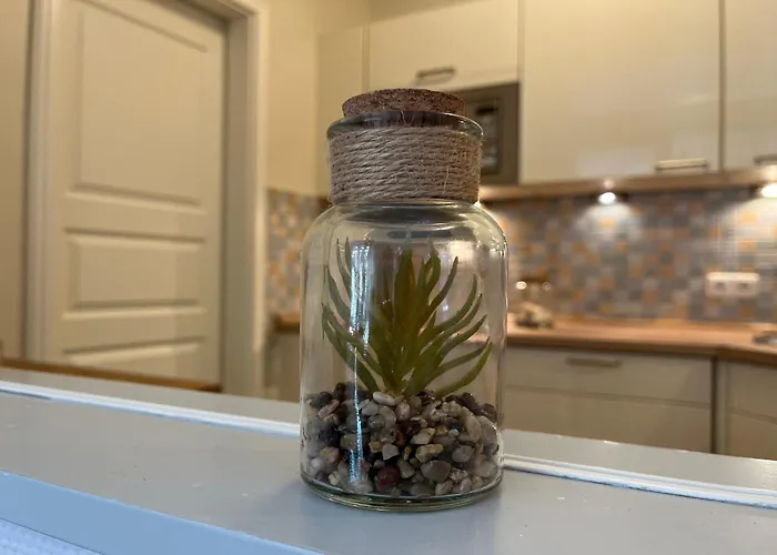 Апартаменты Strandvilla Niklot 01